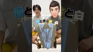 みんなはコレ何色に見える? #はるくんの部屋