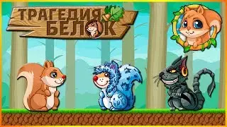 типы белок в школе шаманов/ трагедия белок