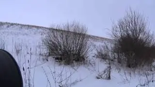 Охота на зайца 06.12.2015 г.  0 -1