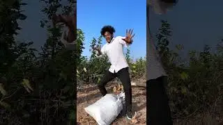 realfools
