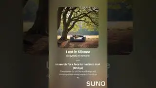 Lost in Silence