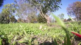 Foxeer Legend 1 HD Action Camera Review on VOODOOQuads 210 FPV Drone