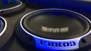 Subwoofer Snake 500w - Primeira Impressão