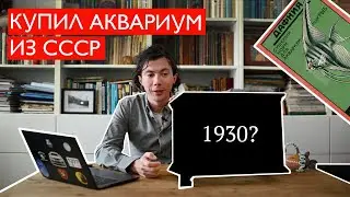 Купил советский аквариум / Дафния из 1920-х / Необычный Махлин