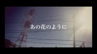 あの花のように / 津田ユウキ［Official Video］