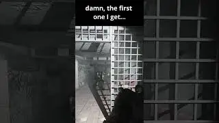 Tarkov Wipe VOIP Betrayal #escapefromtarkov