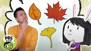 ELINOR WONDERS WHY | That's So Interesting: Why Do Leaves Change Colors? | PBS KIDS