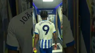 Joao Pedro Returns To The Dressing Room 🤩 #brightonandhovealbion #manchesterunited