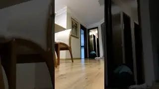 ele deu uma voada