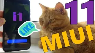MIUI 11 update and Xiaomi eu firmware REVIEW - It SURPRISED my Xiaomi!