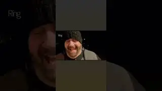 The Kosher Pickle ✡️