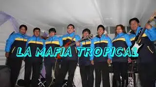 LA MAFIA TROPICAL - LA CERVECITA