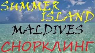 SUMMER ISLAND MALDIVES - снорклинг и не только