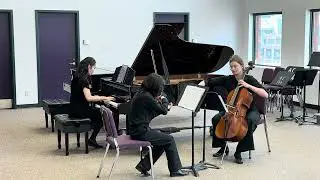 Felix Mendelssohn - Piano Trio No. 1 in D Minor, Op. 49 (I. Molto allegro ed agitato)