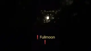 ❗❗fullmoon ❗❗