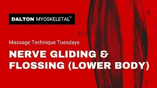 Nerve Gliding and Nerve Flossing Manual Therapy for Lower Body