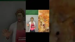 Testando a Professora…