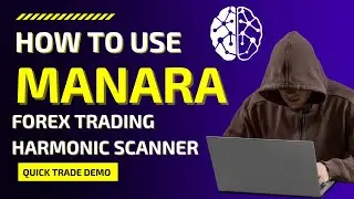 Eaconomy Forex Manara Harmonic Scanner Case Study