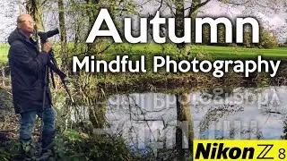 A mindful photography in Autumn with my Nikon Z8