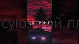 13 августа 2024 г.