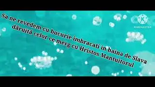 la revedere Unchiul Vasile - 29 06 2023 inmormantare