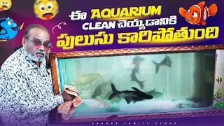 6 feet Aquarium Cleaning Ante Mamulu Vishayam Kadhu | Telugu Vlogs | Sahara Family Vlogs