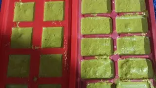 🍃COM ESSA DICA VOCÊ  NÃO FICARÁ MAIS  SEM TEMPEROS VERDE.🍃