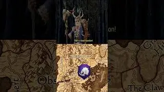 Why Ostankya and Guardians of Kislev are not in Kislev but in Naggaroth
