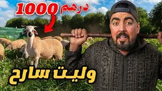 سرحت لغنم لأول مرة 😨 … شوفو اش وقع ليا 😡