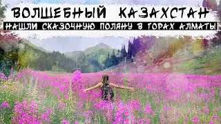 Не верим своим глазам!  Дикий восторг! Цветущие горы Казахстана! Сказка в горах Алматы.