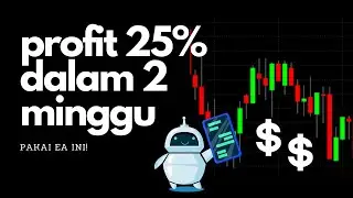 Profit 25% dalam 2 minggu dengan Robot Forex ini