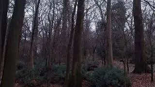 An Autumn For Crippled Children  -  Hearts of Light