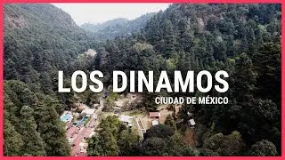 Los Dinamos CDMX, un lugar INCREÍBLE!