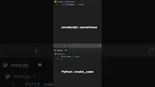 Variable Naming Conventions for JavaScript and Python 
