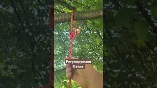 Регулироваемая Петля для Палатки Тента Сохранения Еды на Дереве #популярныеузлы