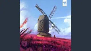 Flower Fields