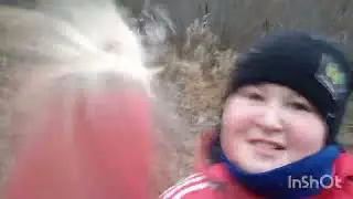 Бобры гуляют около пруда+пачка семечек от Бороси