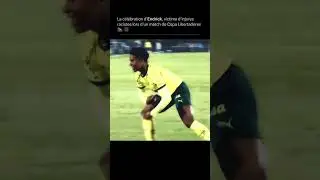 Endrick🇧🇷🦍