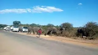 Haiwezekani 😩 watch this ☝👈👉👇#006 #006