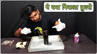 Potassium Permanganate vs Milk