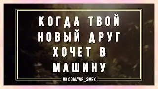 Когда твой новый друг хочет в машину