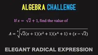 Algebra Challenge - Beautiful Radical Expression