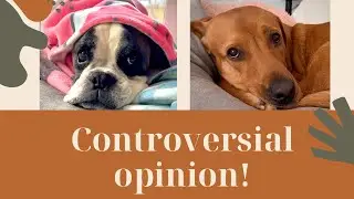 Controversial opinion…