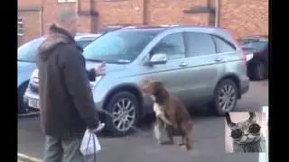 Самые Смешные Приколы Подборка