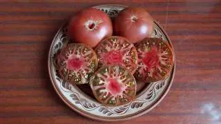 Томат сорт 
