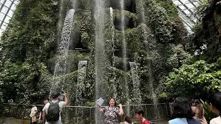 CLOUD FOREST 2024
