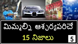 Top 15 Unknown Facts in Telugu | Interesting and Amazing Facts | Part 5 | Minute Stuff