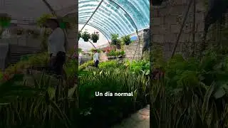 #naturelovers