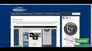 Whitetip SEO - SEO Promotion Case Studies