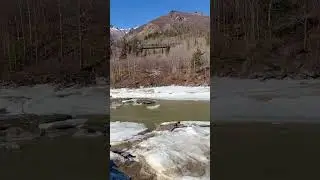 #alaska